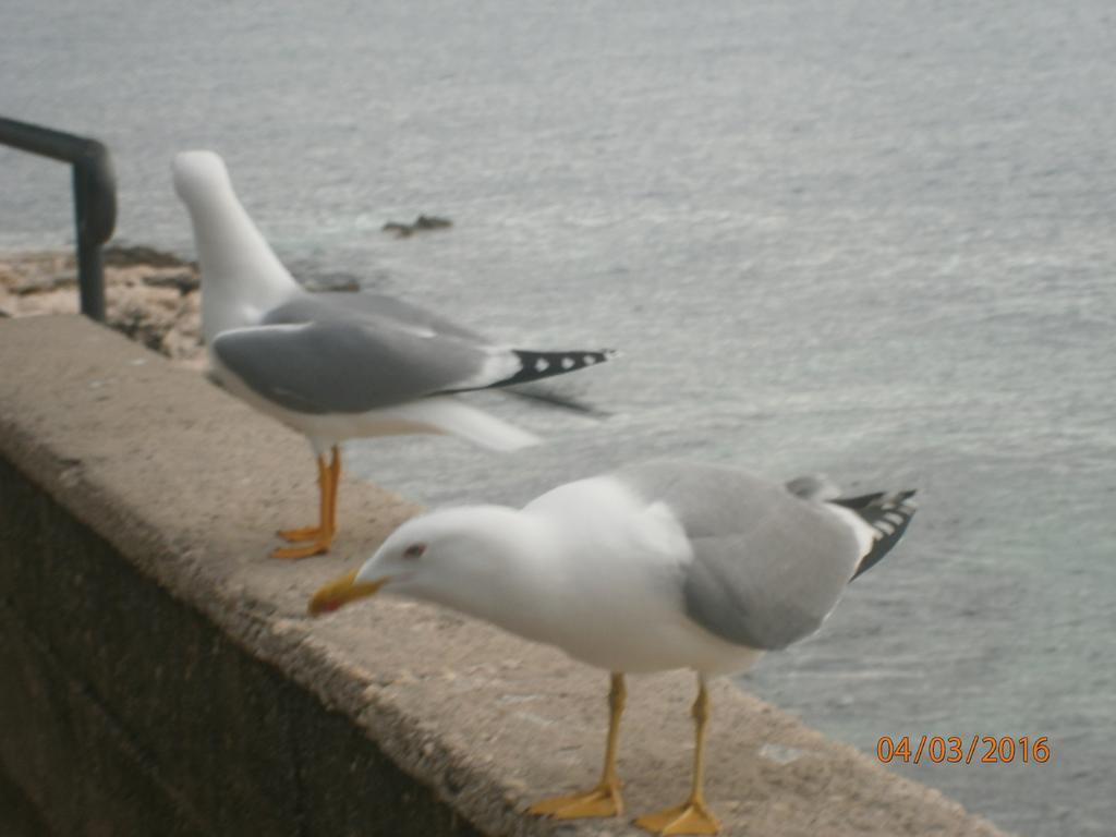 Apartments Sea And Sun Rabac Exterior foto